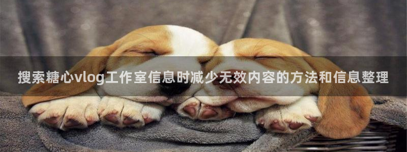 糖心在线看:搜索糖心vlog工作室信息时减少无效内容的方法和信息整理